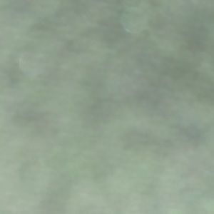 Meet your Posher, Alec